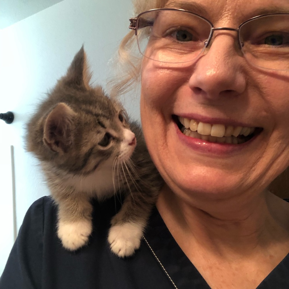 Meet your Posher, Susan ☺️